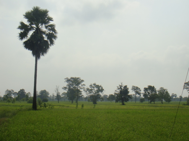 DSC03069.JPG
