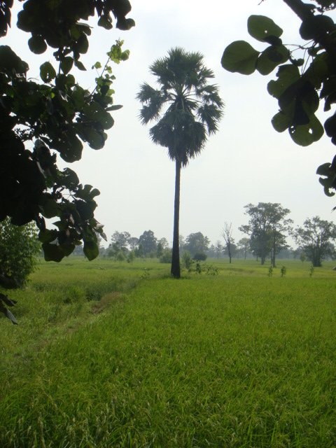 DSC03068.JPG