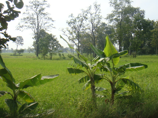 DSC03067.JPG