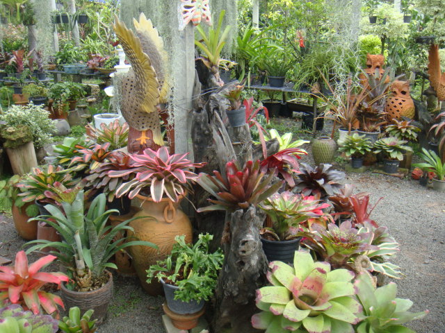 DSC03018.JPG
