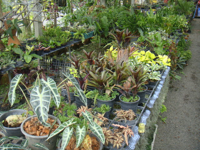 DSC03016.JPG