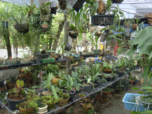 DSC03020.JPG