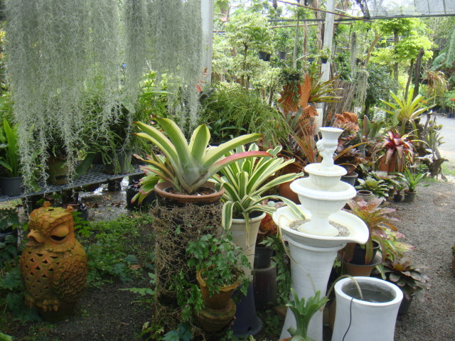 DSC03021.JPG