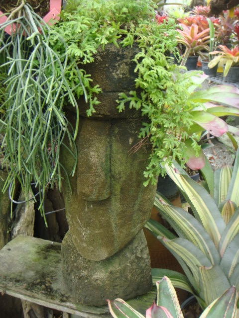 DSC03023.JPG