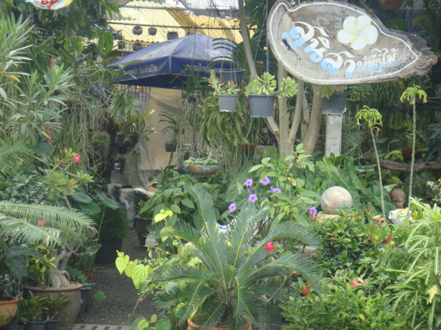 DSC03027.JPG