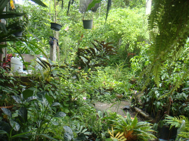 DSC03029.JPG
