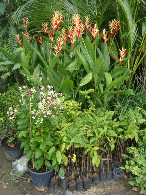 DSC03030.JPG