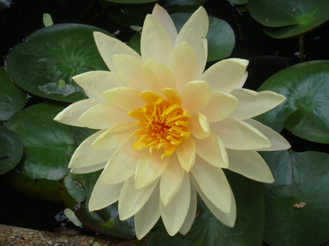 DSC03065.JPG