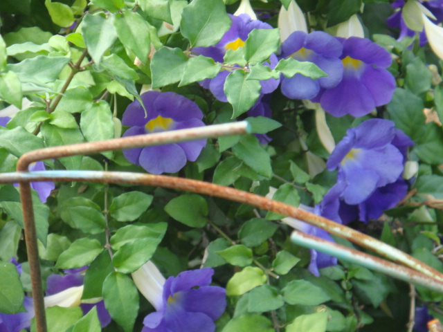 DSC03102.JPG