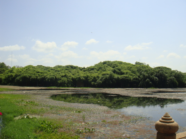 DSC03162.JPG