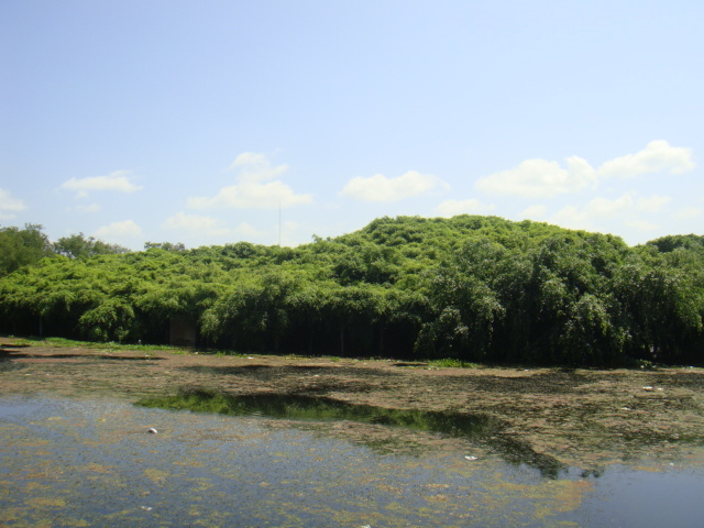 DSC03164.JPG