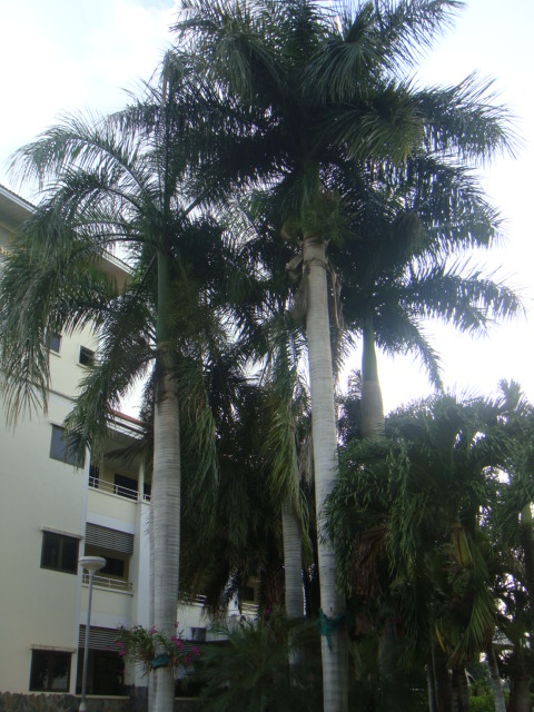 DSC03038.JPG