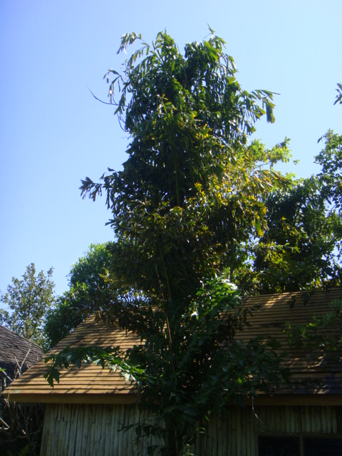 DSC03430.JPG