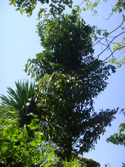 DSC03431.JPG