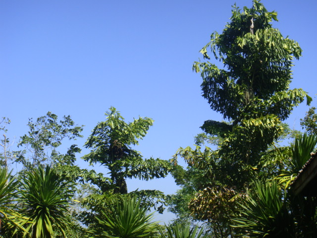 DSC03433.JPG