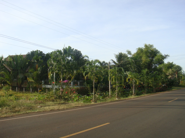 DSC03458.JPG