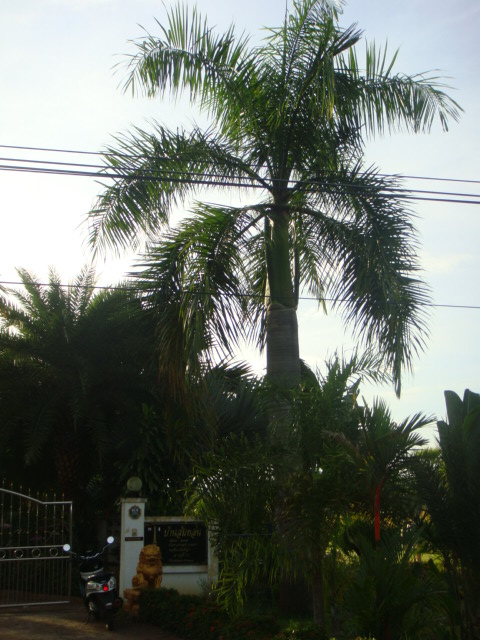 DSC03462.JPG