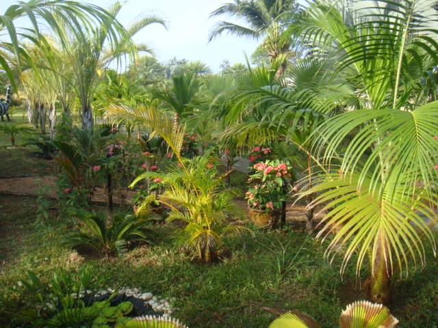 DSC03455.JPG