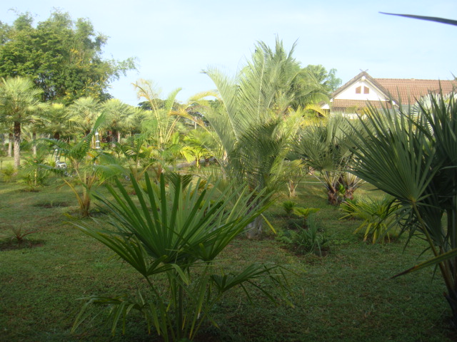 DSC03451.JPG