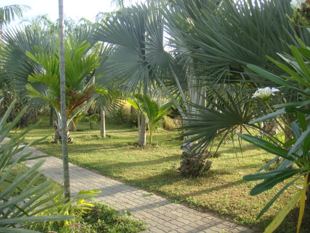 DSC03448.JPG
