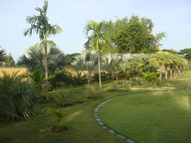 DSC03445.JPG