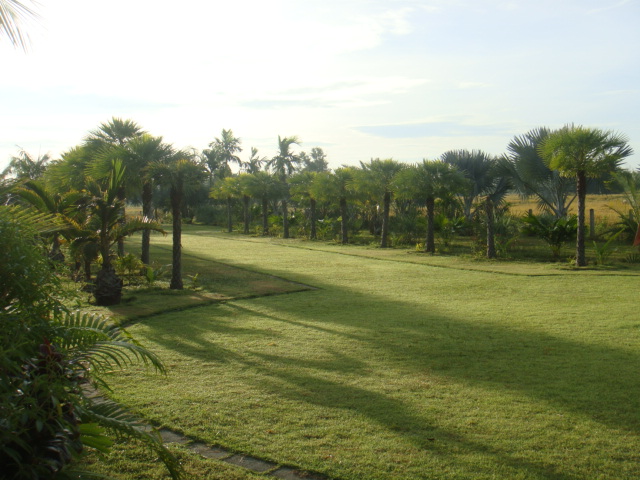 DSC03443.JPG
