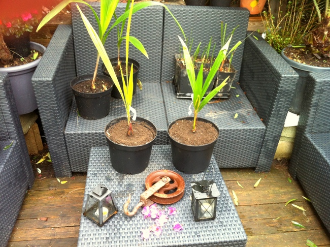 Après plantation ^^un pourrai appeler ça un salon de jardin pour plante...