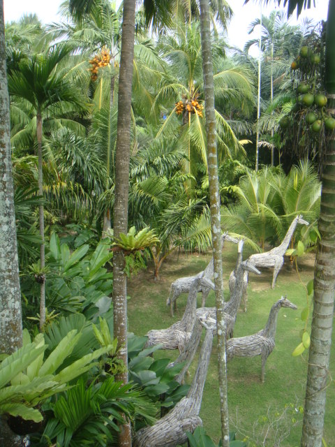 DSC03168.JPG