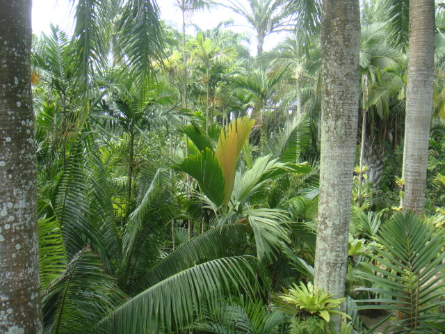 DSC03169.JPG