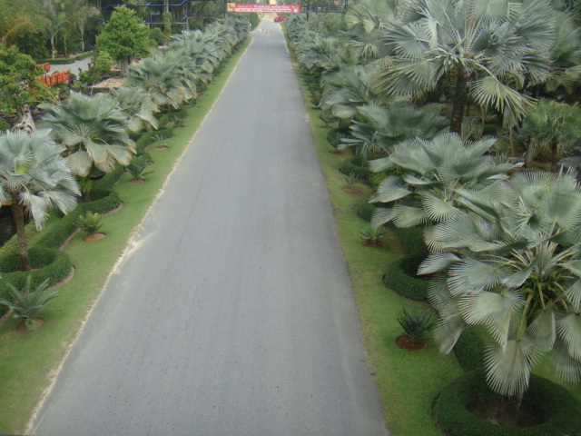 DSC03174.JPG