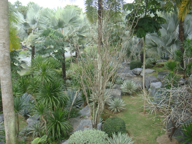 DSC03177.JPG