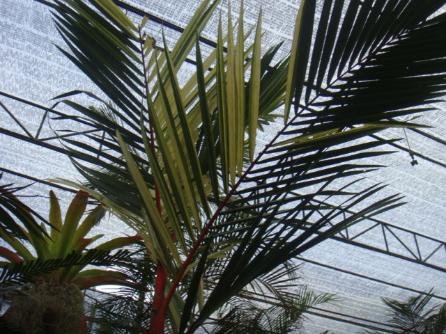 DSC03207.JPG
