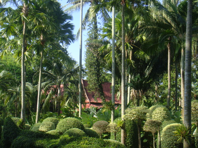 DSC03223.JPG