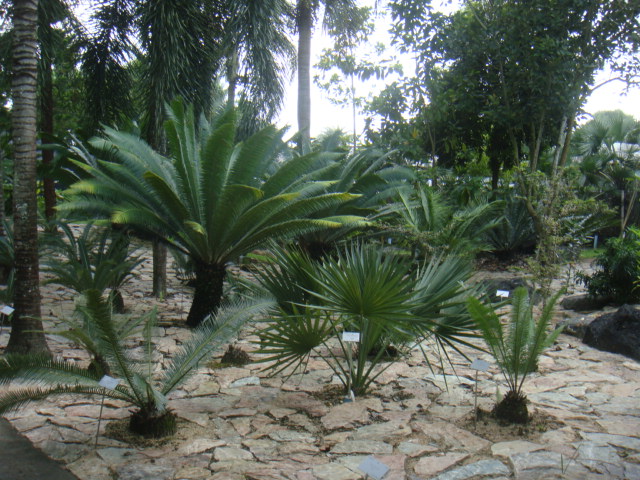 DSC03286.JPG