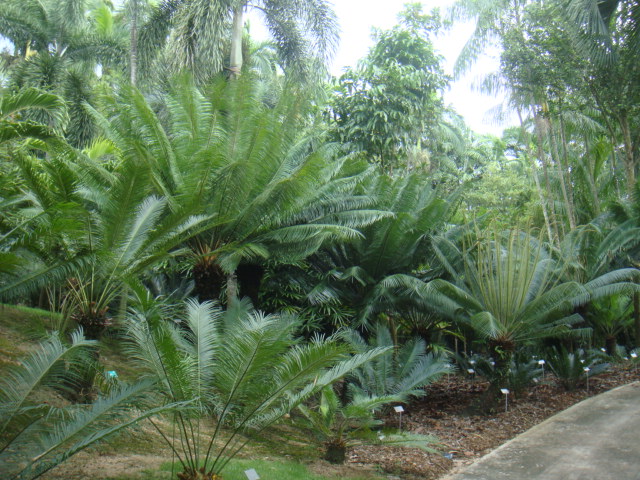 DSC03287.JPG