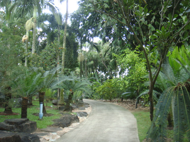 DSC03289.JPG
