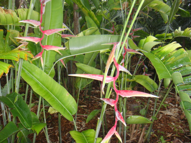 DSC03305.JPG