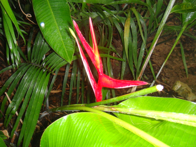 DSC03307.JPG