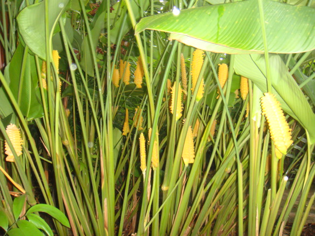 DSC03308.JPG