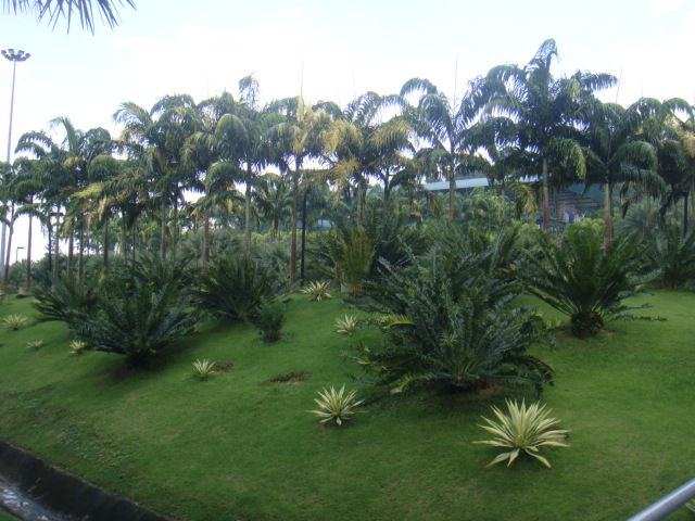 DSC03310.JPG