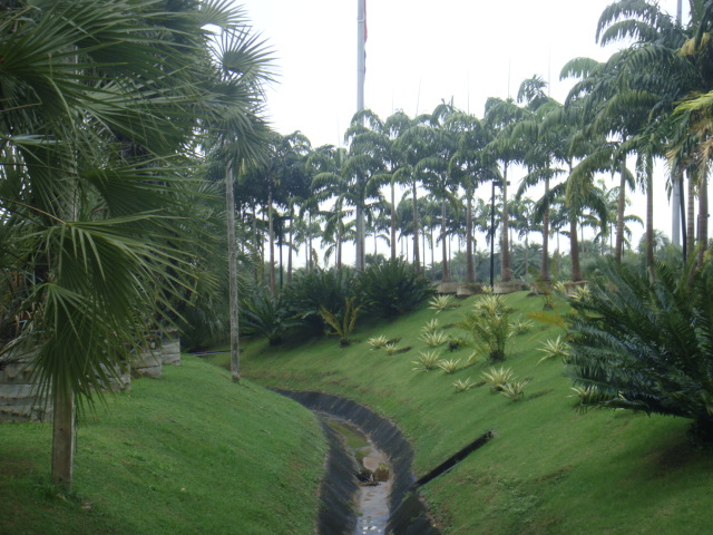 DSC03315.JPG
