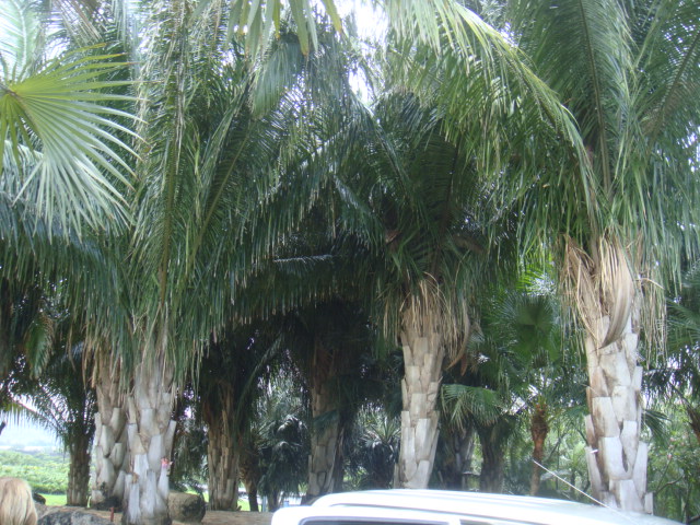 DSC03316.JPG