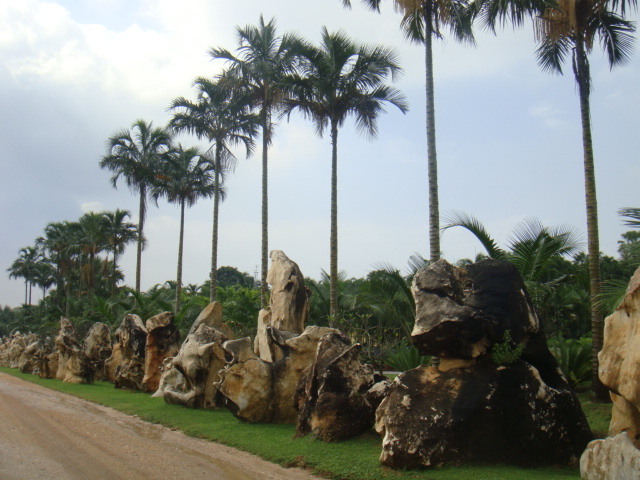 DSC03318.JPG