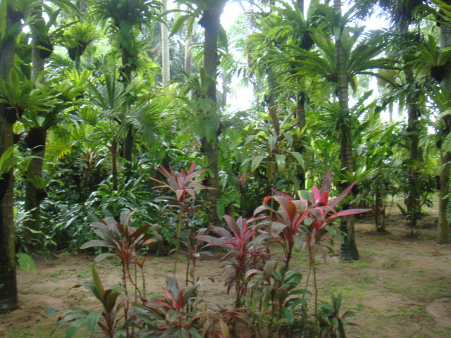 DSC03323.JPG