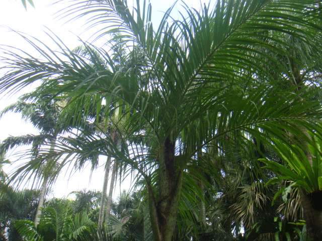 DSC03327.JPG