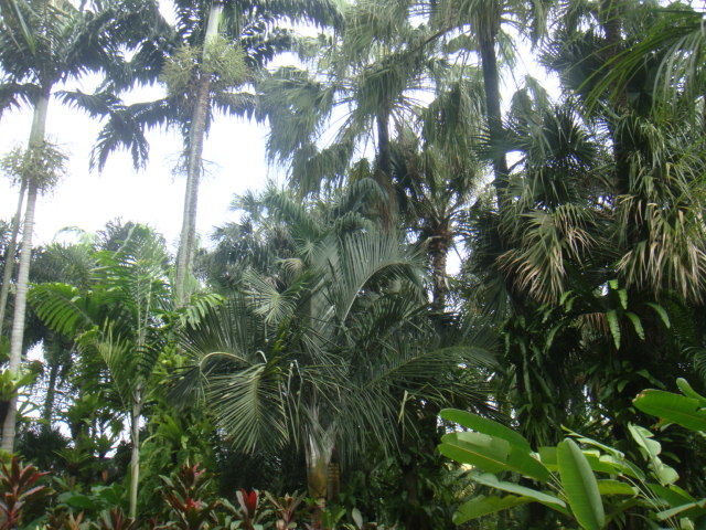 DSC03328.JPG