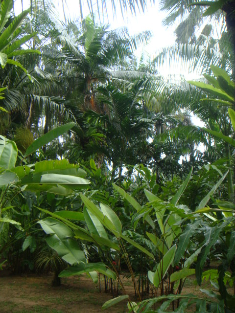 DSC03329.JPG