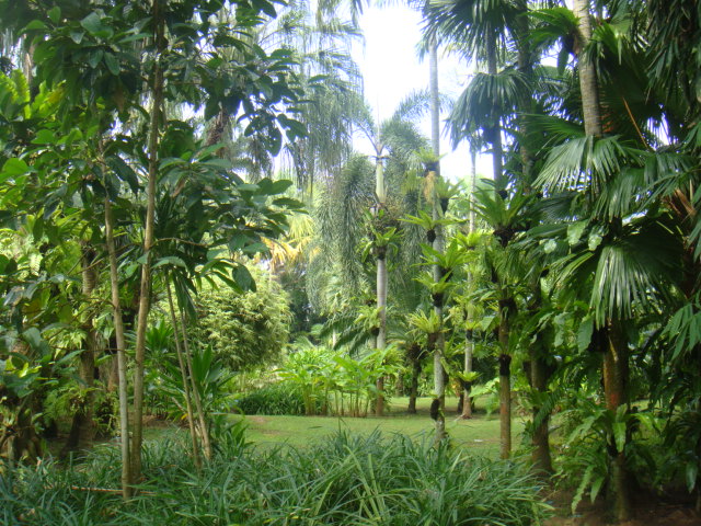 DSC03330.JPG