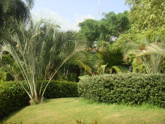 DSC03335.JPG