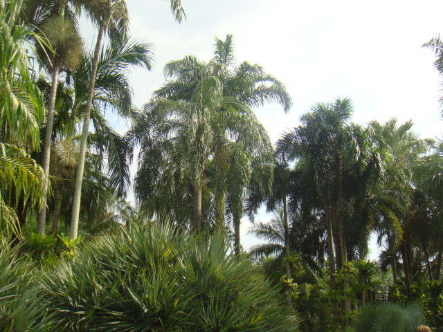 DSC03336.JPG